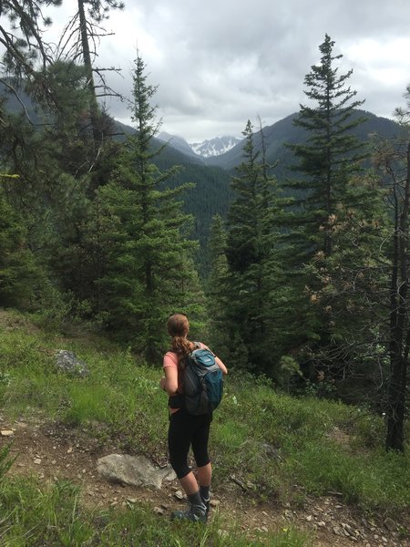 Looking south to the Stuart Range.