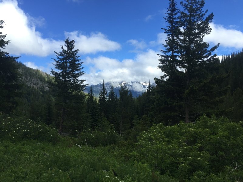 A fleeting view of the Stuart Range from the Chatter Creek meadow.