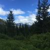 A fleeting view of the Stuart Range from the Chatter Creek meadow.