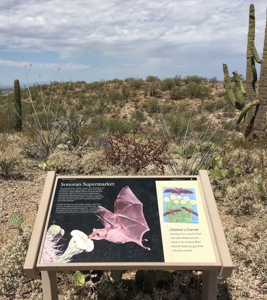 Various signs along the trail make the journey interactive for children.