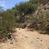 While this trail is geared for families, portion of the trail drop into a wash and signage is difficult to see.