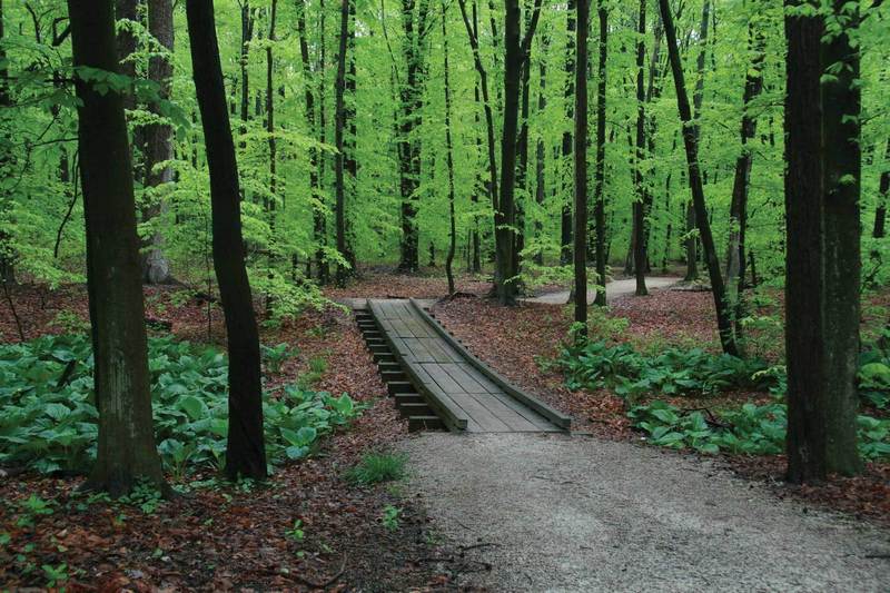 Gravel doubletrack and wooden bridge along route.