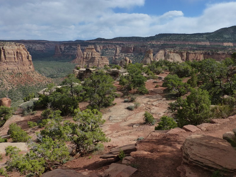 Looking into Monument Canyon, Colorado National Monument, Colorado.