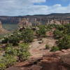 Looking into Monument Canyon, Colorado National Monument, Colorado.