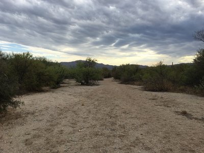 View looking north from Javelina Wash Trail.