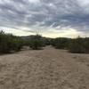 View looking north from Javelina Wash Trail.