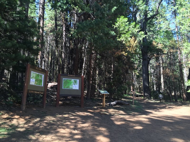 Trailhead for Chimney Tree trail and Graveyard of the Giants Trail