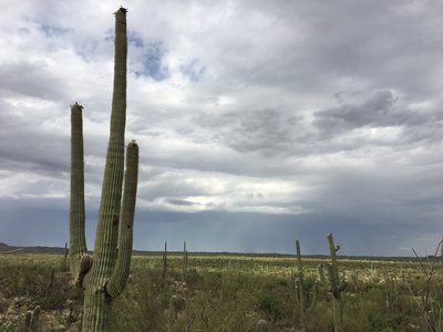 View from the top of Pink Hill looking at a brewing rain cloud.
