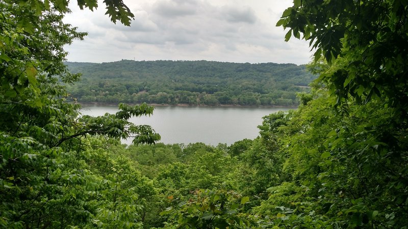 View of the Ohio River from the Little Turtle Trail.