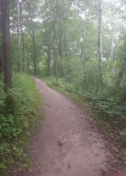 Photo of the trail.