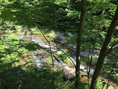 Staunton River through the trees.
