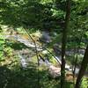 Staunton River through the trees.