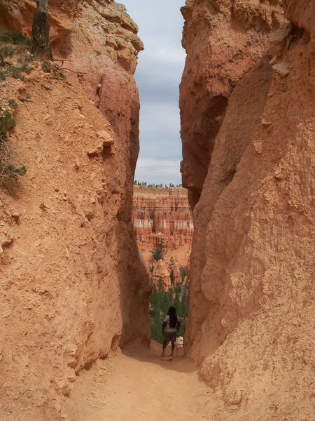 Cutting through a wall on the Peekaboo Loop in Bryce Canyon NP.