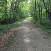 Doubletrack on the Triangle Trail.