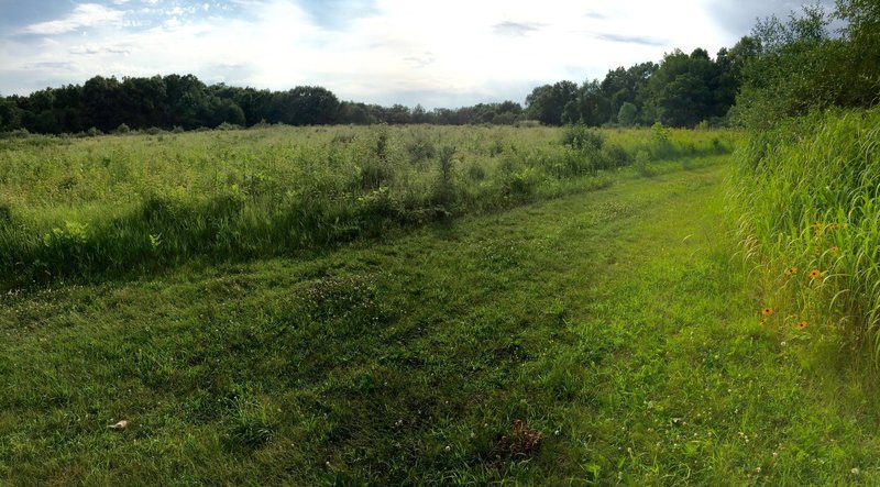 Bluebird prairie where the Bird Blind Loop and Blue Bird Trail intersect.