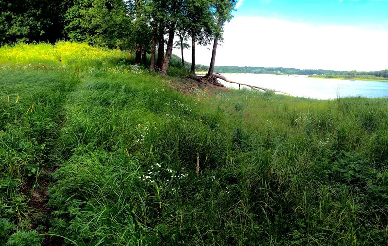 The Bird Bling Trail along the shore of the Coralville Reservoir.