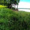 The Bird Bling Trail along the shore of the Coralville Reservoir.