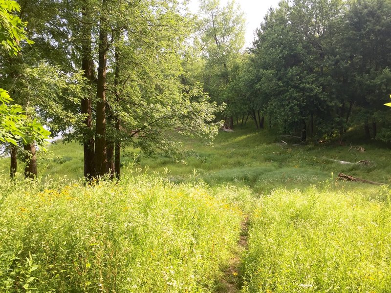 Bird Blind Trail.