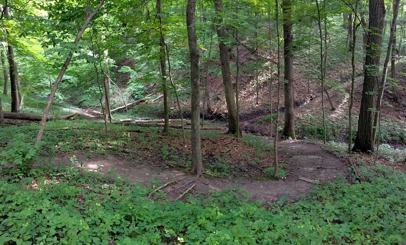 Switchback near the bottom of Hawk Ravine.