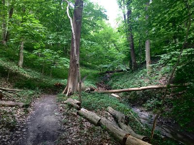 The base of Hawk Ravine.