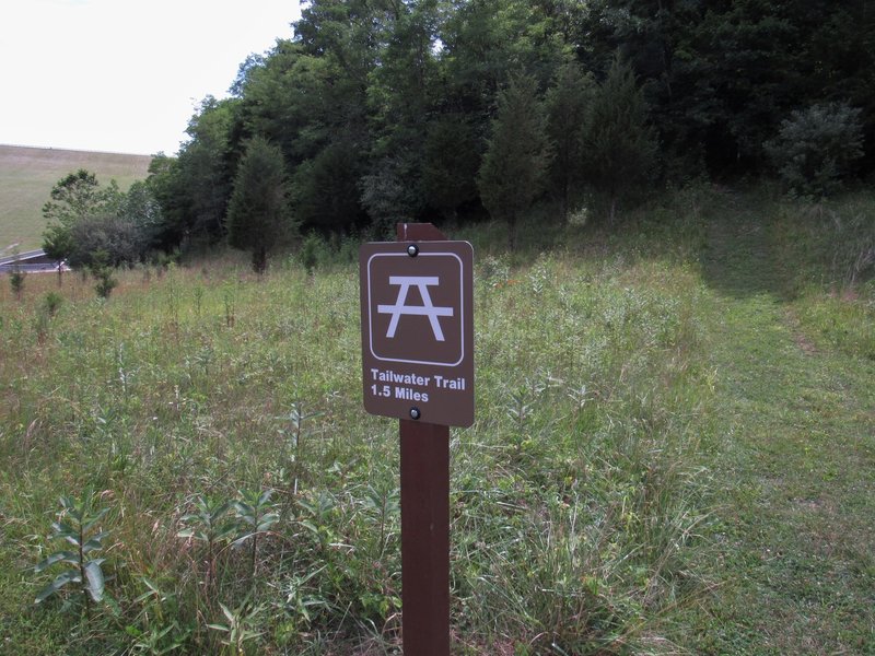 Trailhead, cut grass leads to beginning of  trail.