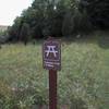 Trailhead, cut grass leads to beginning of  trail.