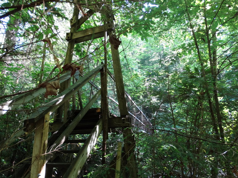 Suspension Bridge over Hawk Creek.