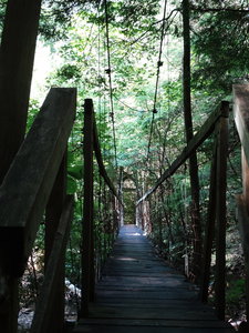 Suspension Bridge over Hawk Creek.