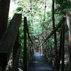 Suspension Bridge over Hawk Creek.