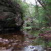 View of Pickle Creek.