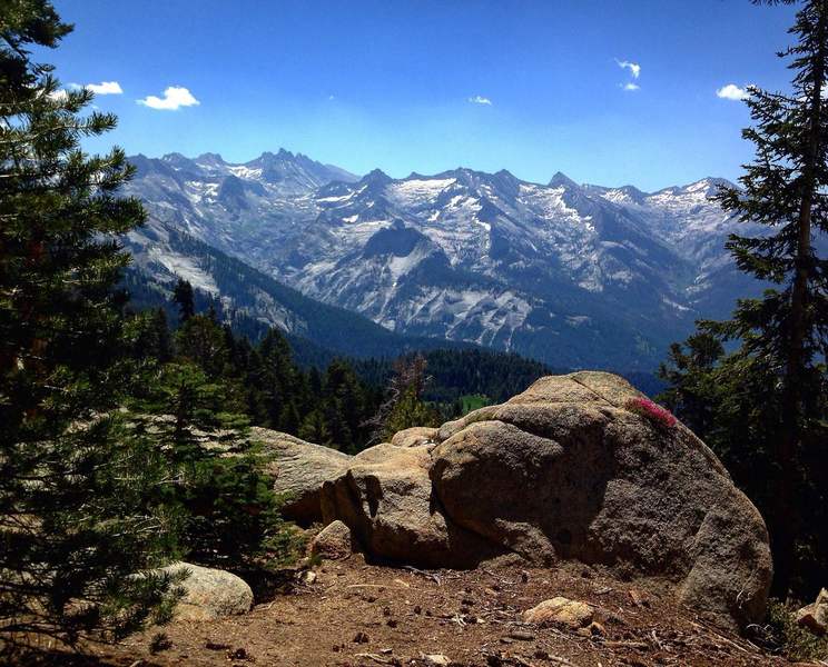 View heading up the trail.