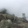 Viewing Old Rag Summit from the first peak on Old Rag on a foggy morning.