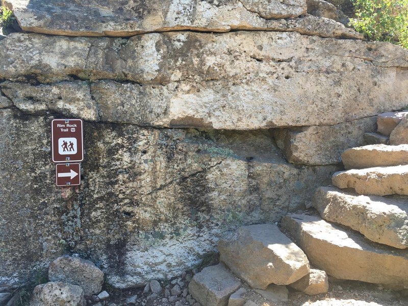 Where Rim Rock and the Dam Trail intersect.