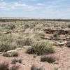 Puerco Pueblo remains.