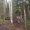 Heading up the Valley Floor Connector Trail.