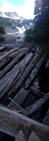 Snow lake from log crossing