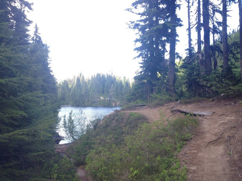 View of lake from trail.