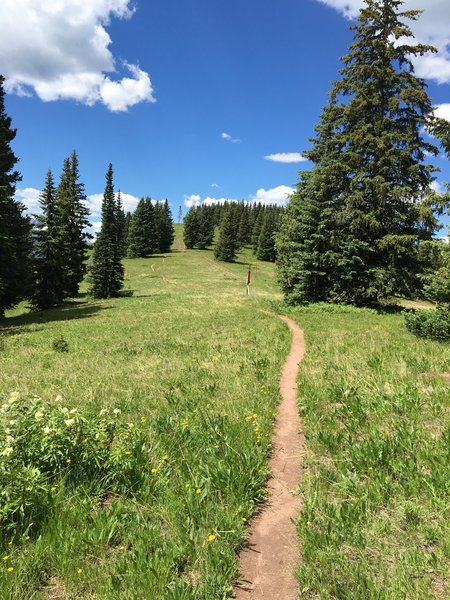 Heading out on Ptarmigan Loop.