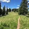 Heading out on Ptarmigan Loop.