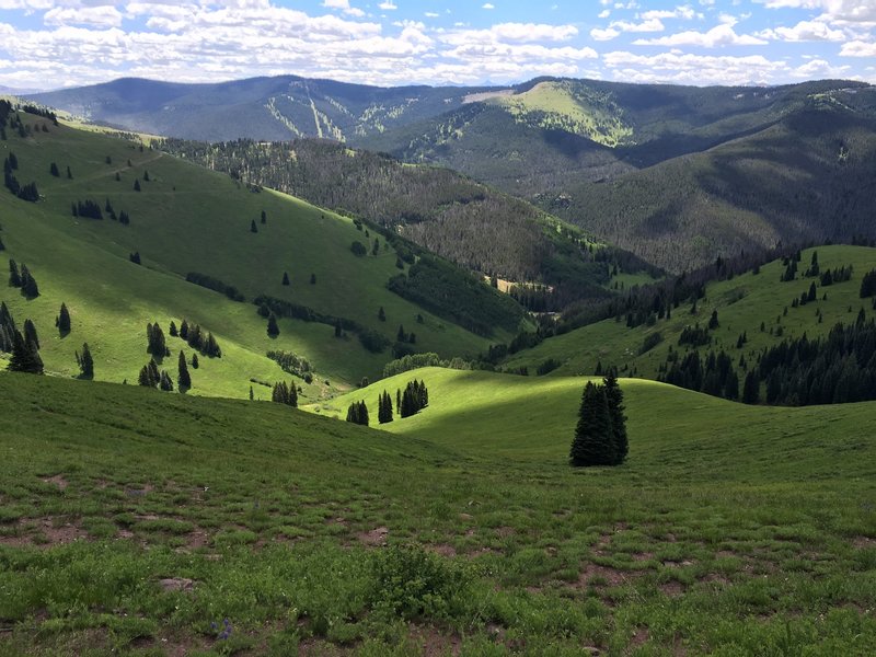 View from Ptarmigan Loop of Vail's Back Bowls.