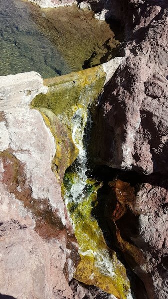 Close up shot of the Lone Palm Waterfall and hot spring.