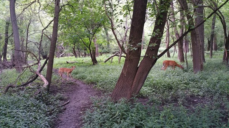 The trail is full of life and diversity.