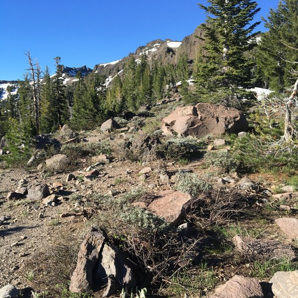 Scenery along the trail.