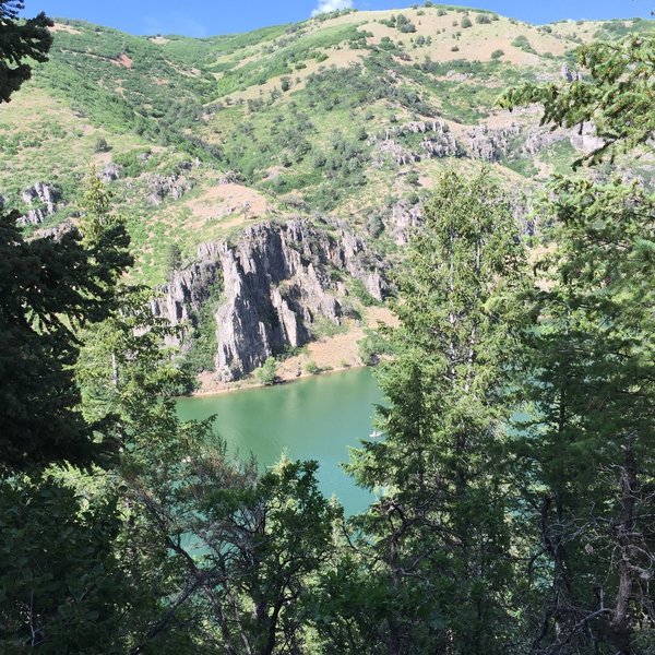 A view through the trees from the Skull Crack Trail to the cliffs on the other side of Causey Reservoir.