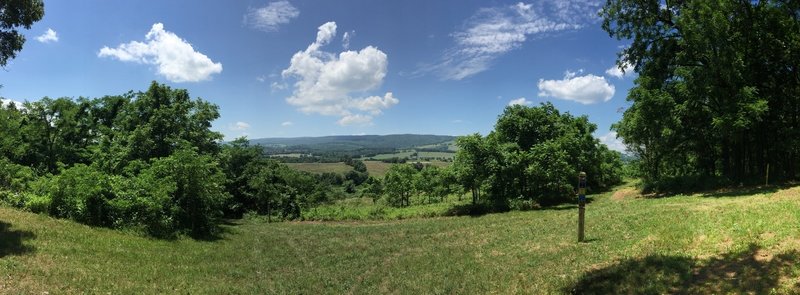 Panorama shot from the shady bench.