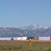 View of the Flatirons.