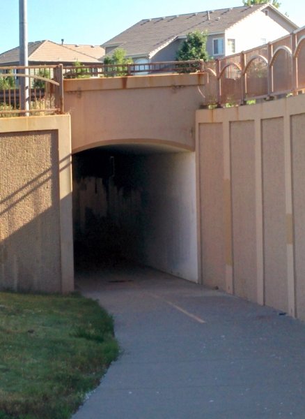 Tunnel Under 136th Ave.