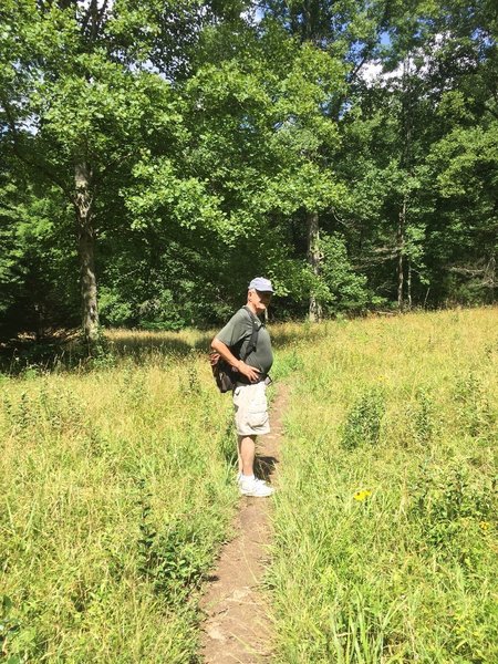 Part of the trail goes through a sunny meadow filled with wildflowers in the warmer months.