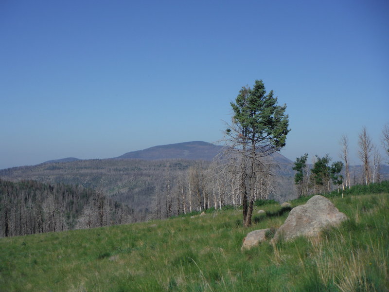 Redondo Peak looking west into the Valles Caldera.