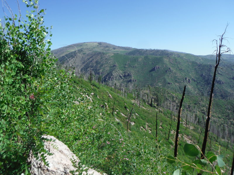 Caballo Mountain looking north from Gauge Ridge Trail.